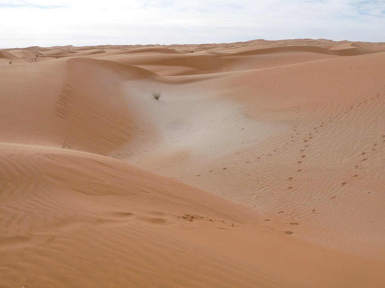 Desert of Mauritania